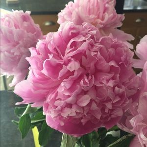 Meet your Posher, Avery